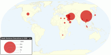 Death Sentence Executions in 2009